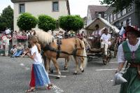 IMG_6489 (2) 